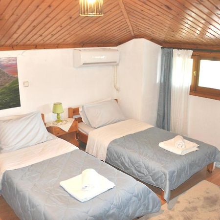 Cozy Loft With Fireplace & View Metsovo Eksteriør billede