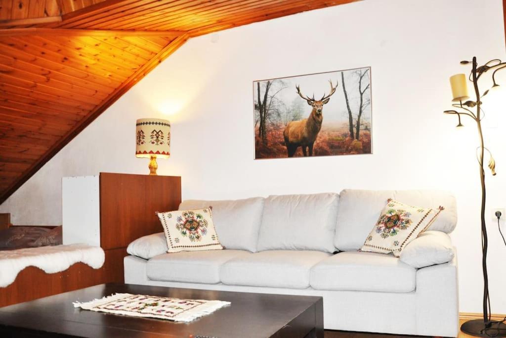 Cozy Loft With Fireplace & View Metsovo Eksteriør billede