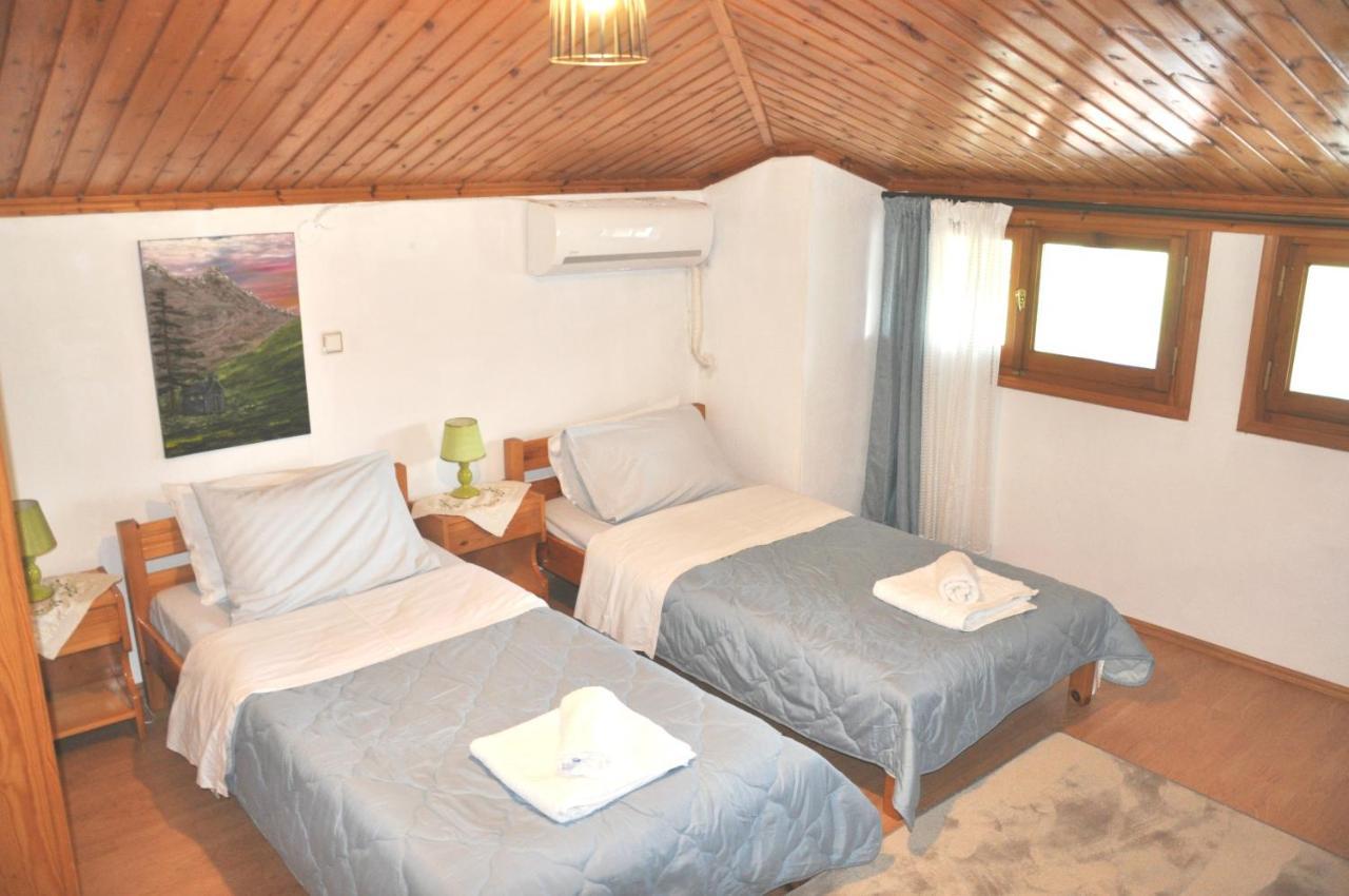 Cozy Loft With Fireplace & View Metsovo Eksteriør billede